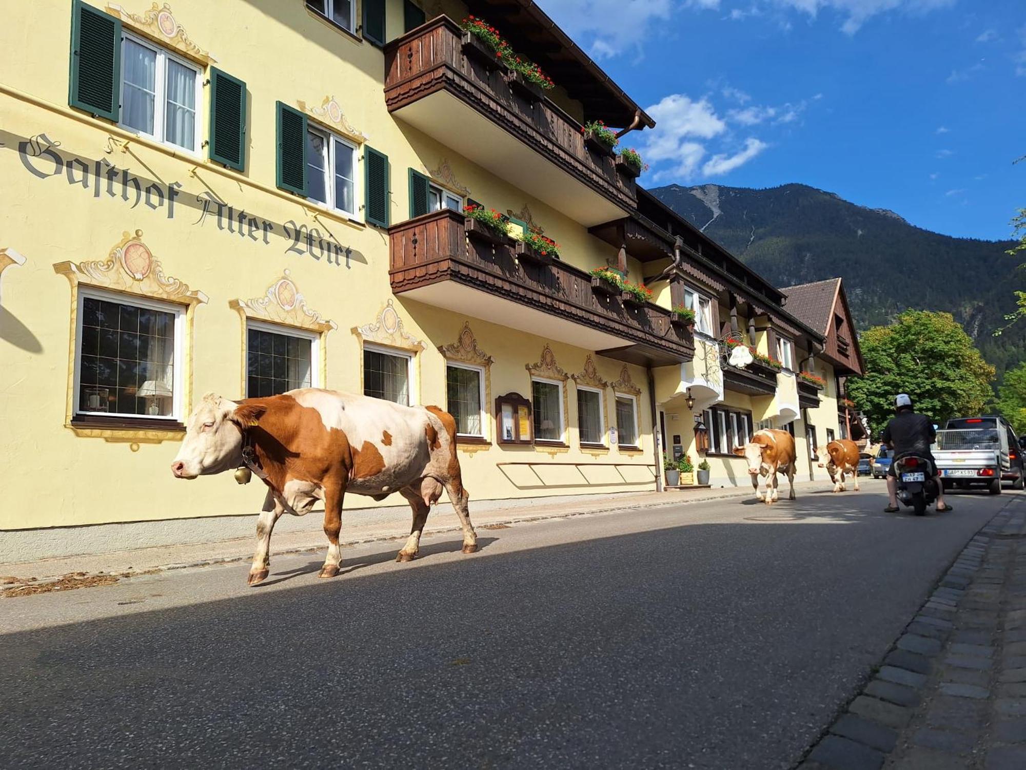 Hotel Gasthof Alter Wirt Farchant Exterior photo