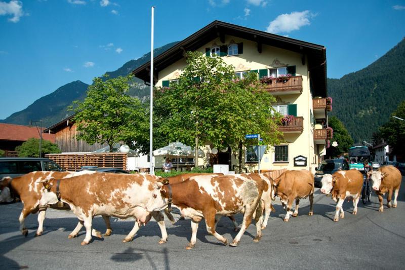 Hotel Gasthof Alter Wirt Farchant Exterior photo